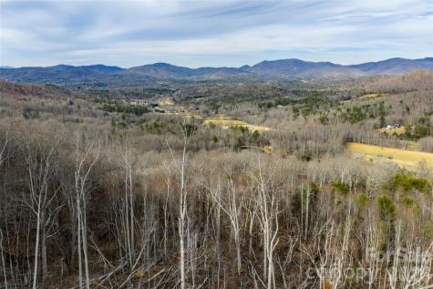 99999 Brush Creek Circle Fairview NC 28730