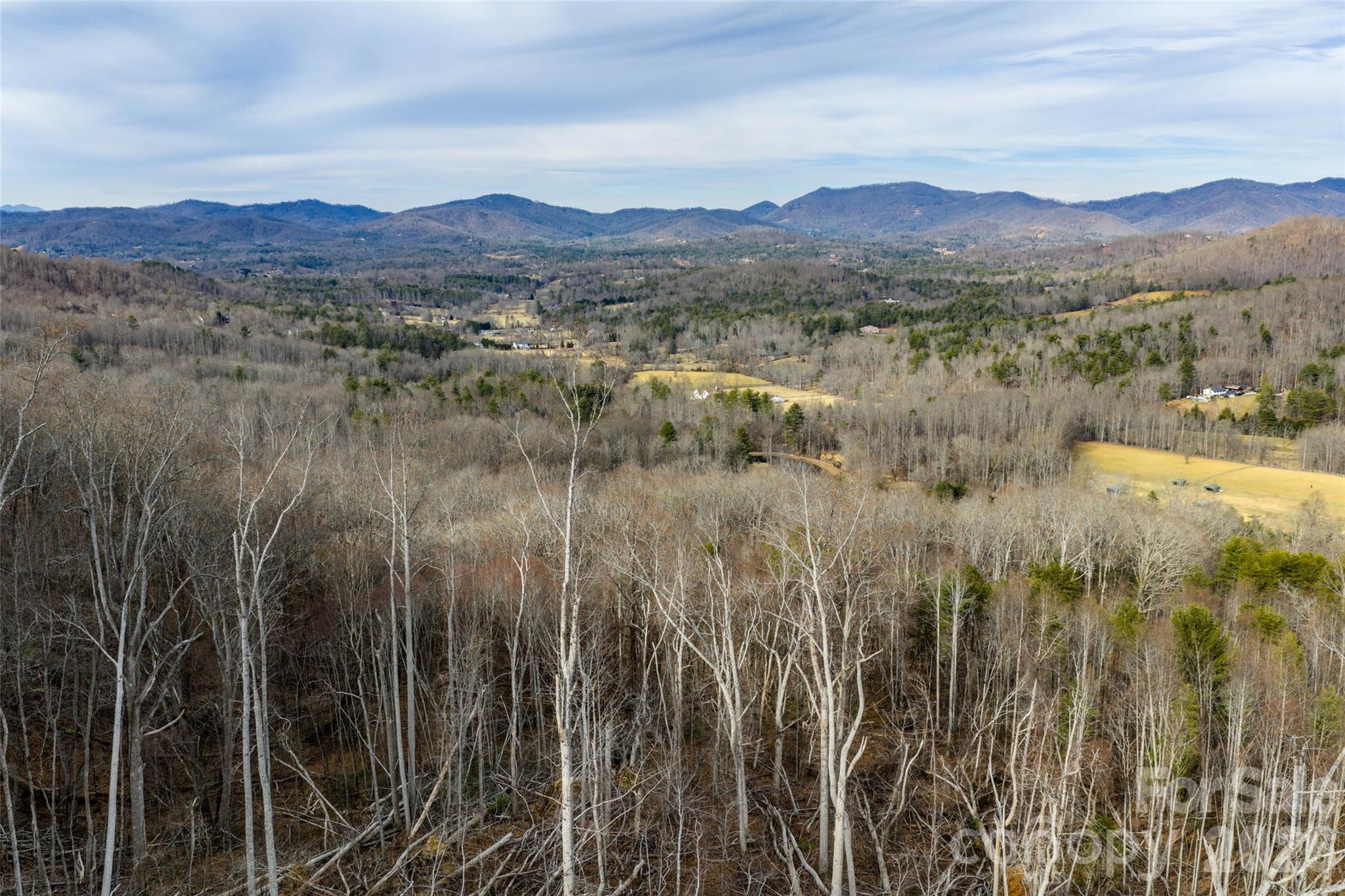 99999 Brush Creek Circle Fairview NC 28730