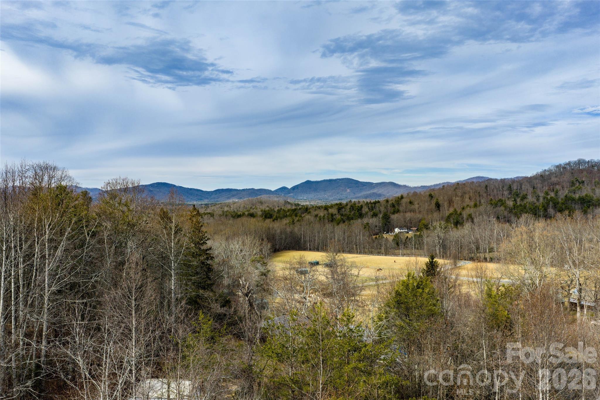 99999 Brush Creek Circle Fairview NC 28730