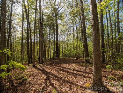 1156 Bear River Lodge Trail Marshall NC 28753