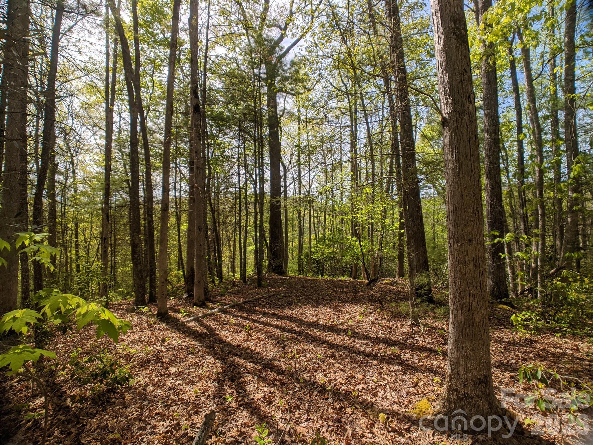 1156 Bear River Lodge Trail Marshall NC 28753