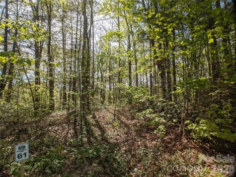 1156 Bear River Lodge Trail Marshall NC 28753