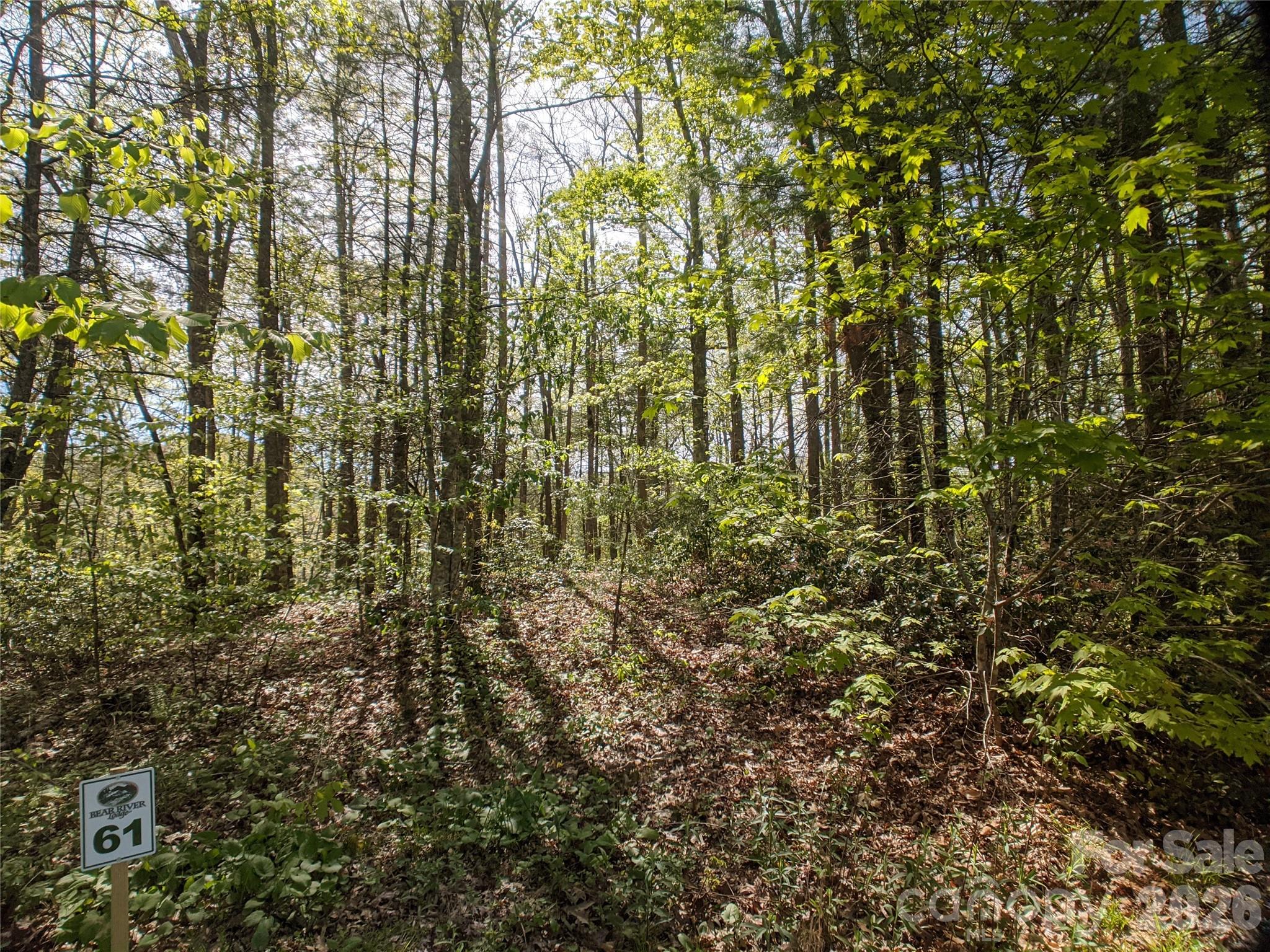 1156 Bear River Lodge Trail Marshall NC 28753