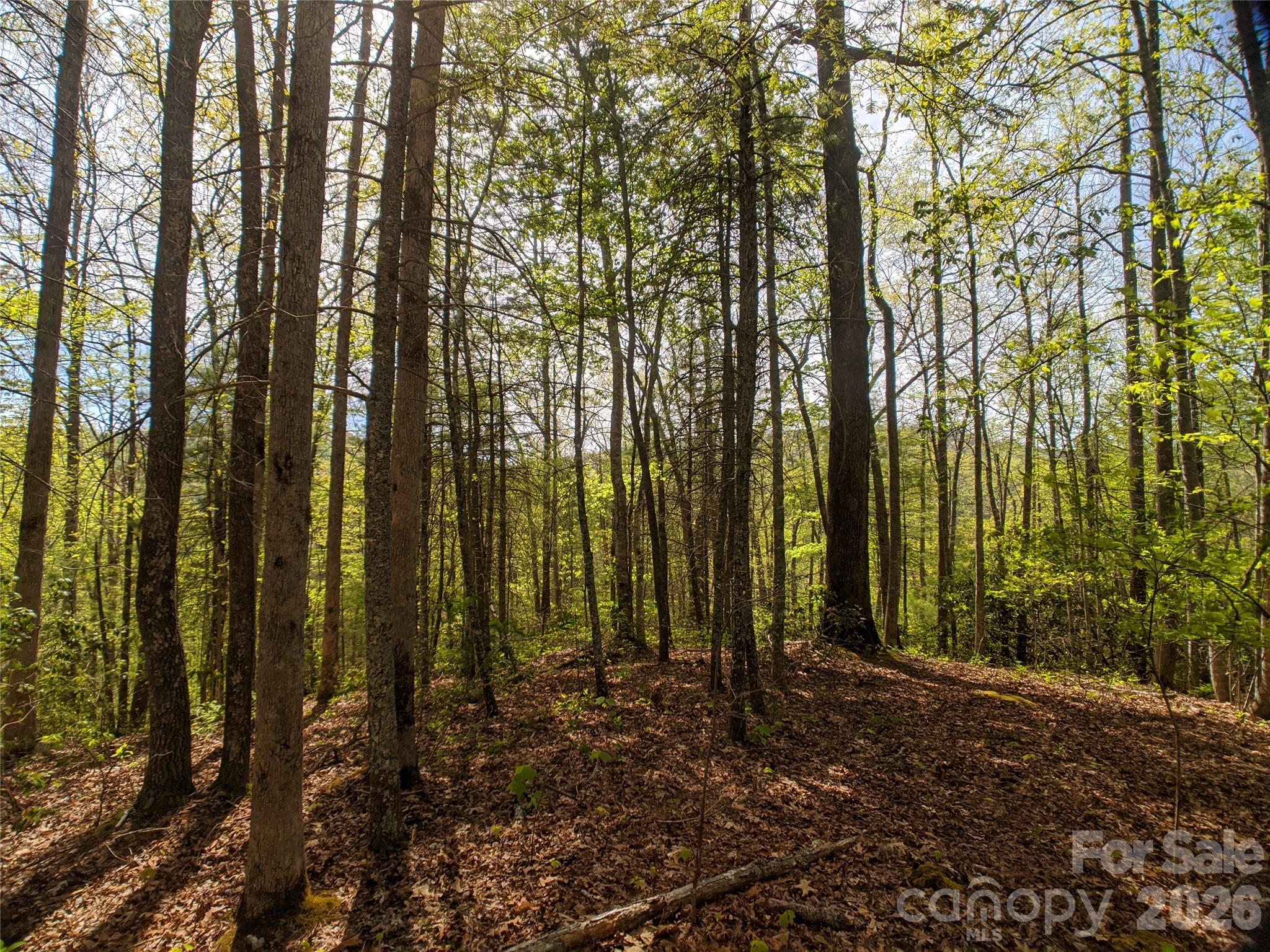 1156 Bear River Lodge Trail Marshall NC 28753