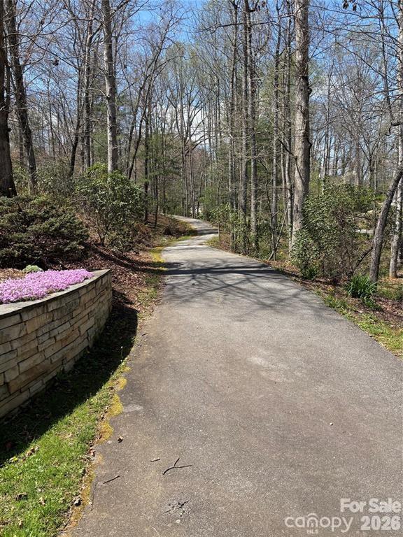 L 19 Cadence Circle Brevard NC 28712