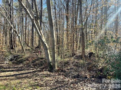 02 Lurecliff Place Fort Mill SC 29708