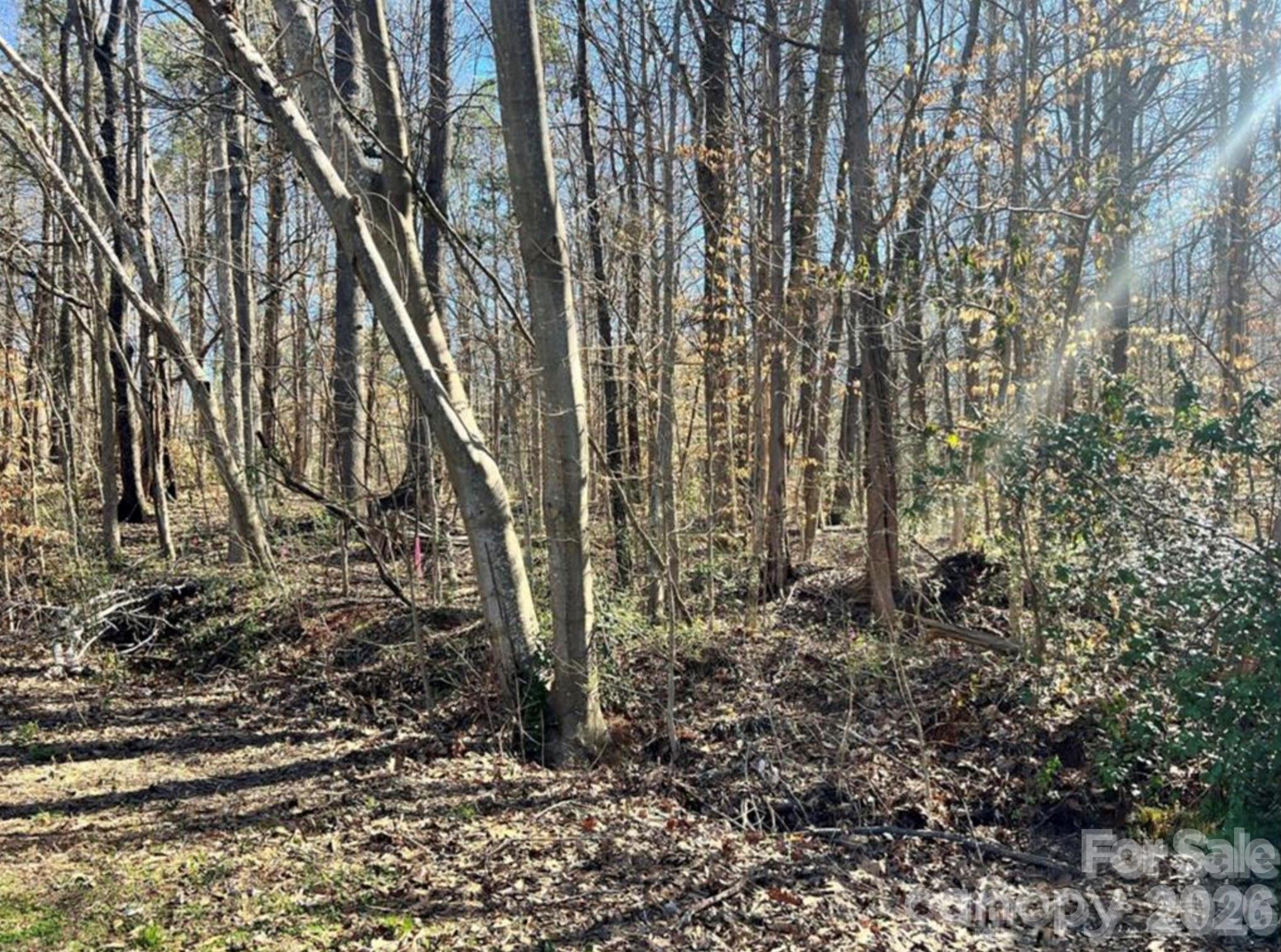 02 Lurecliff Place Fort Mill SC 29708