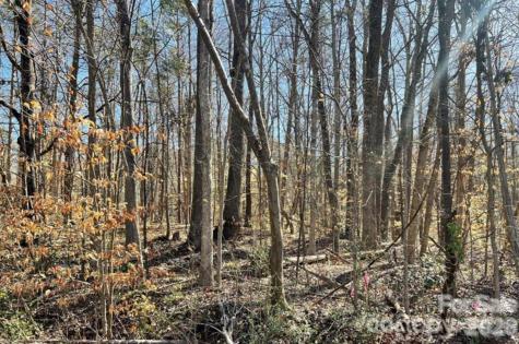 02 Lurecliff Place Fort Mill SC 29708