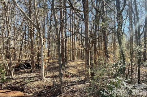 02 Lurecliff Place Fort Mill SC 29708