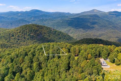 000 Fawns Rest Street Black Mountain NC 28711