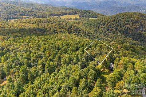 000 Fawns Rest Street Black Mountain NC 28711
