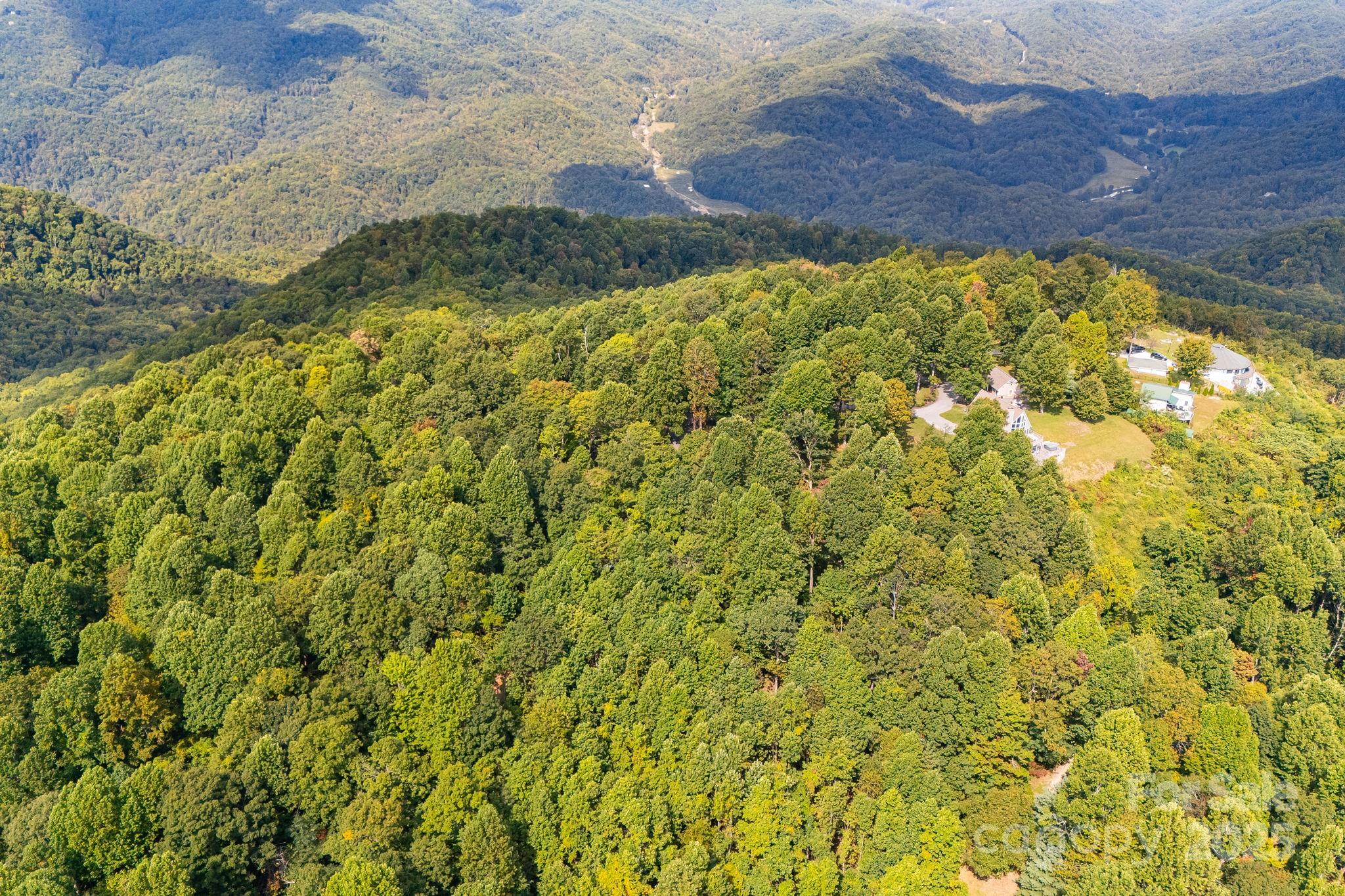000 Fawns Rest Street Black Mountain NC 28711