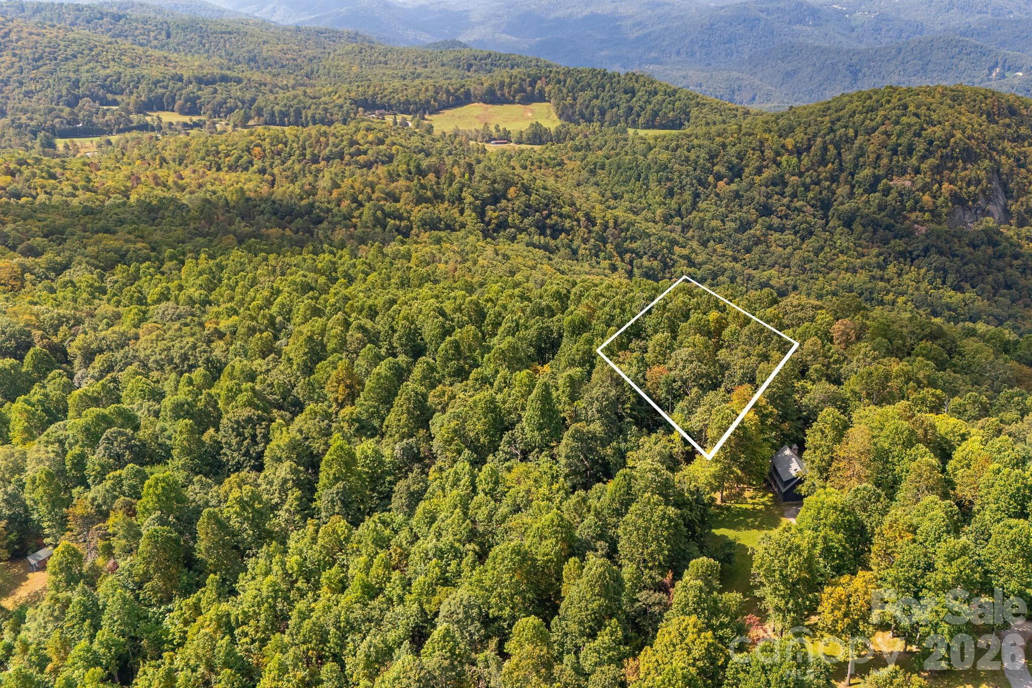000 Fawns Rest Street Black Mountain NC 28711