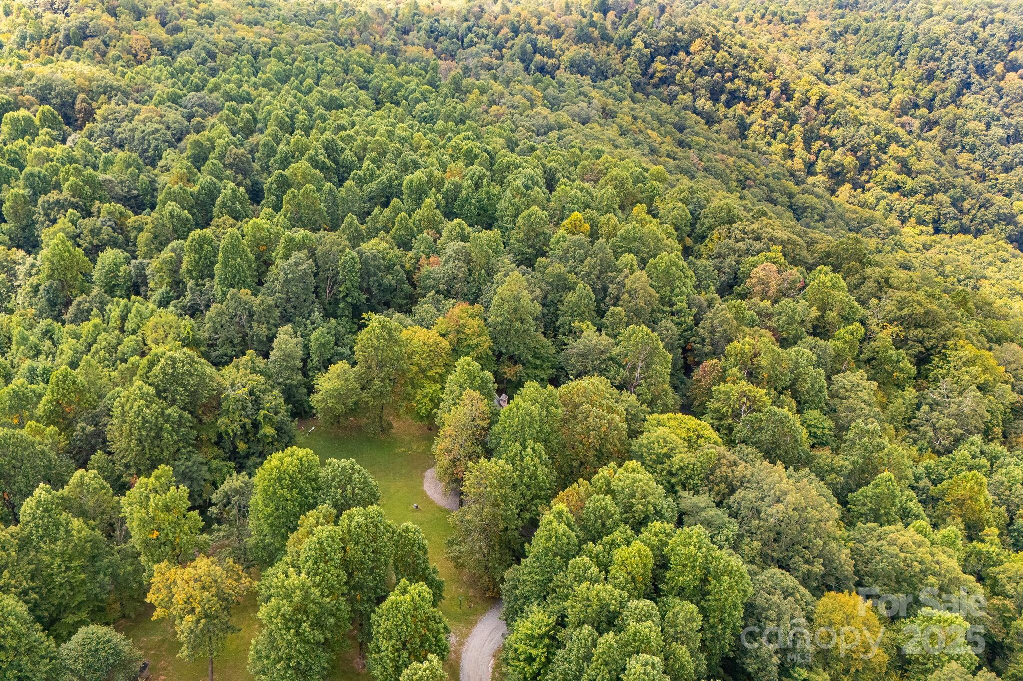 000 Fawns Rest Street Black Mountain NC 28711