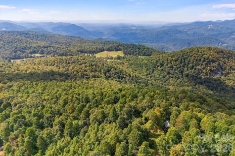 000 Fawns Rest Street Black Mountain NC 28711