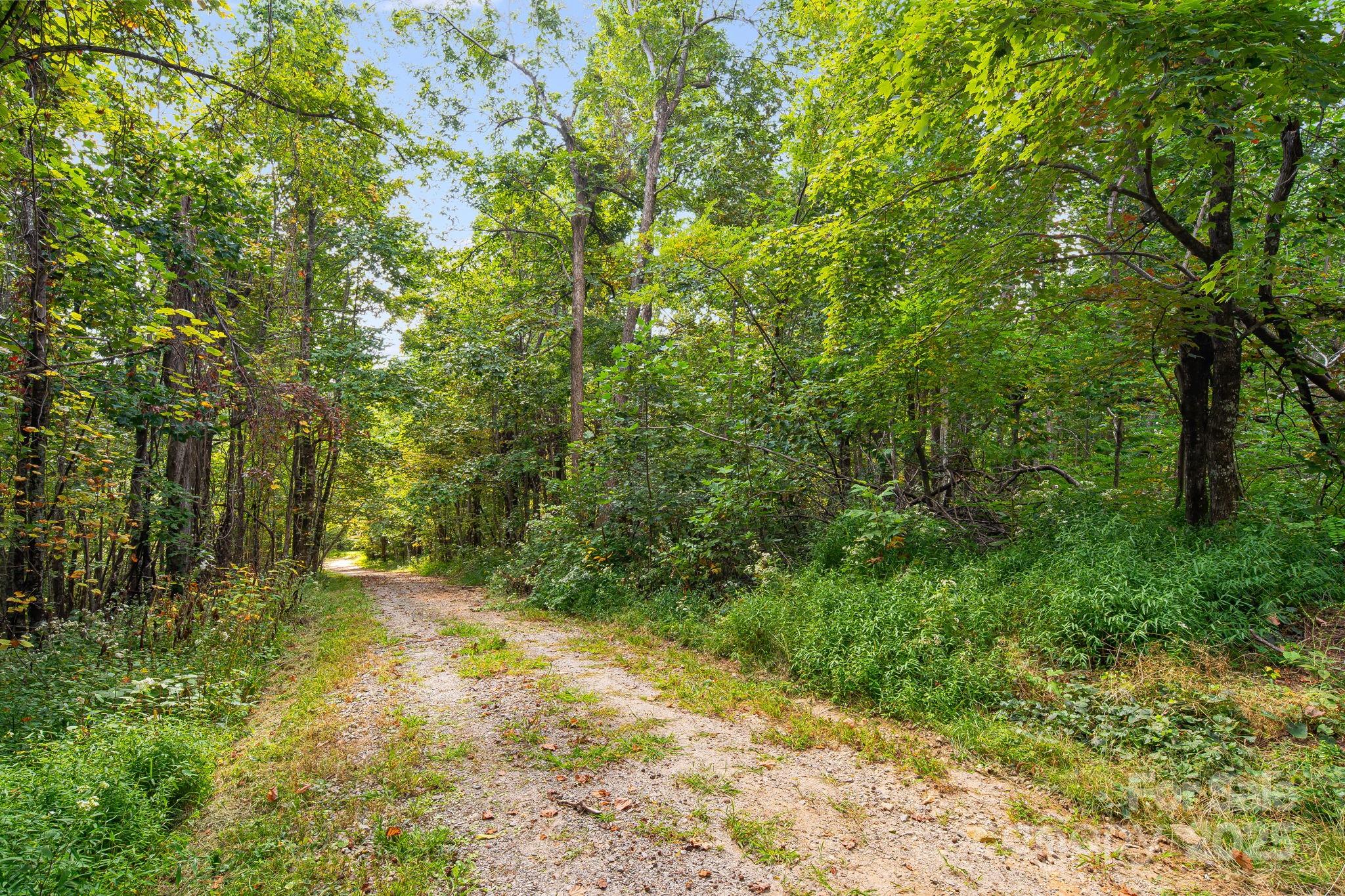 000 Fawns Rest Street Black Mountain NC 28711