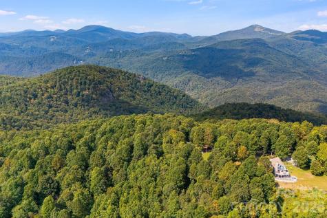 000 Fawns Rest Street Black Mountain NC 28711