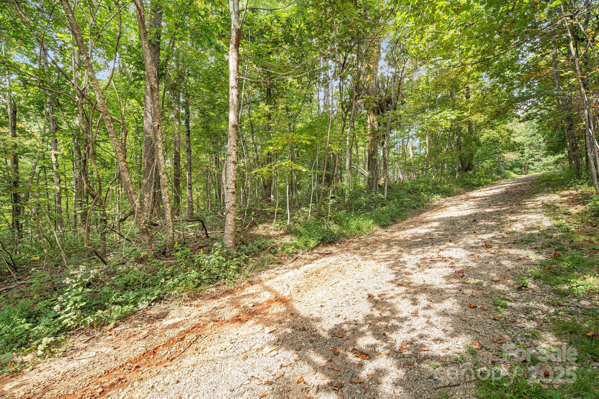 000 Fawns Rest Street Black Mountain NC 28711