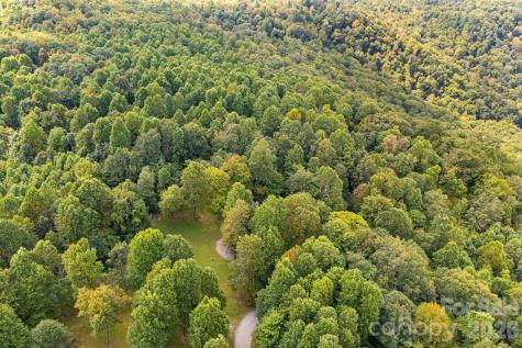 000 Fawns Rest Street Black Mountain NC 28711