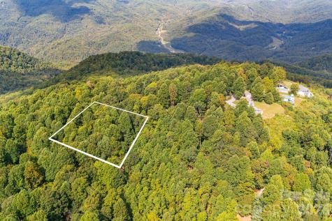 000 Fawns Rest Street Black Mountain NC 28711