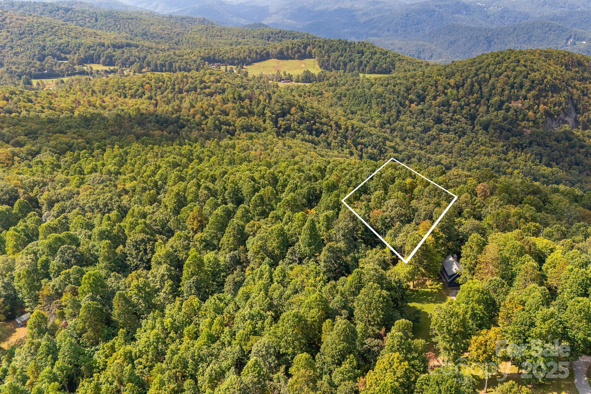 000 Fawns Rest Street Black Mountain NC 28711