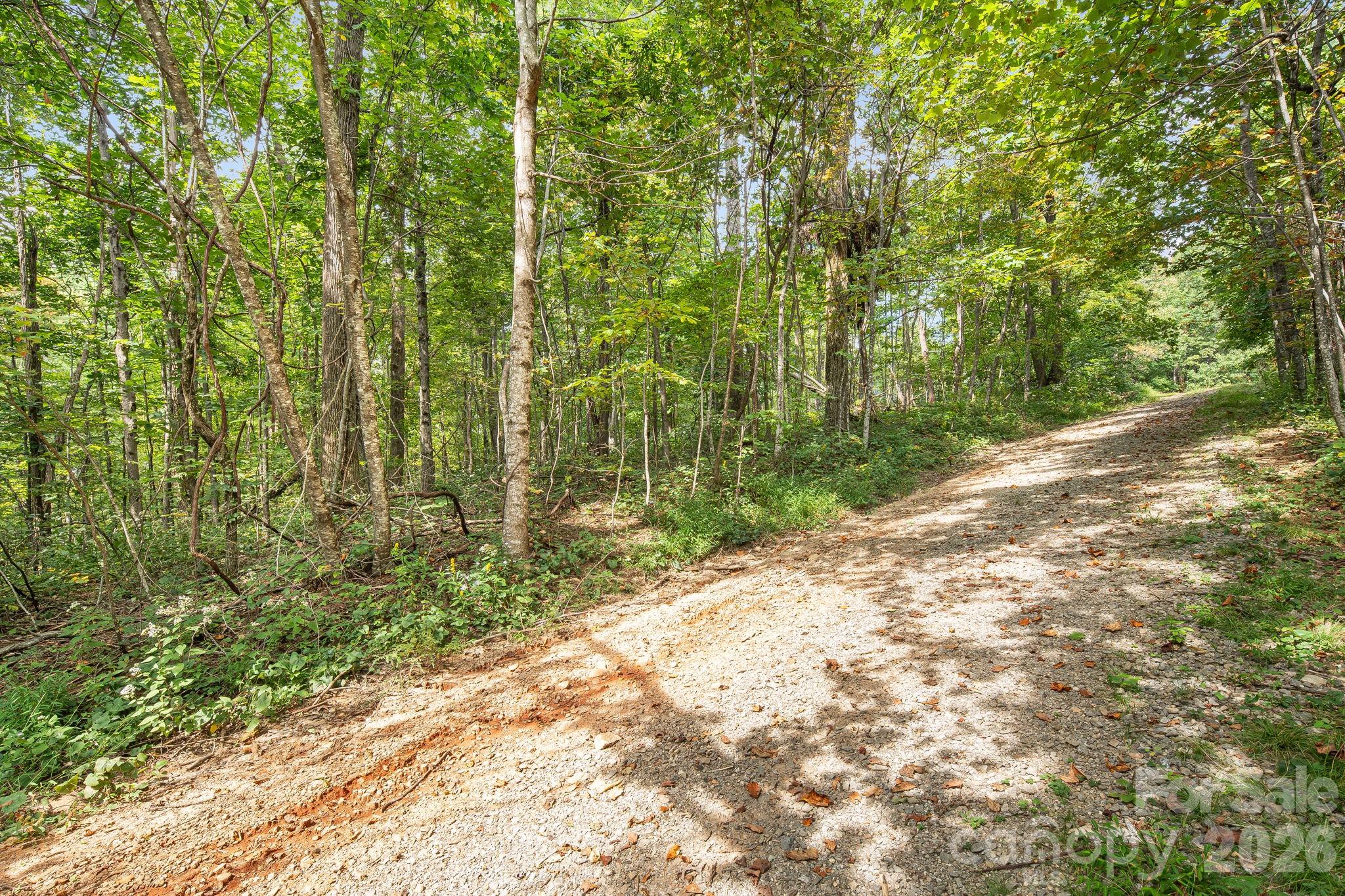 000 Fawns Rest Street Black Mountain NC 28711