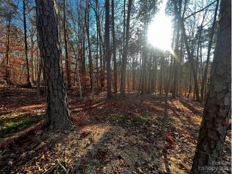 157 Copper Pine Lane Davidson NC 28036