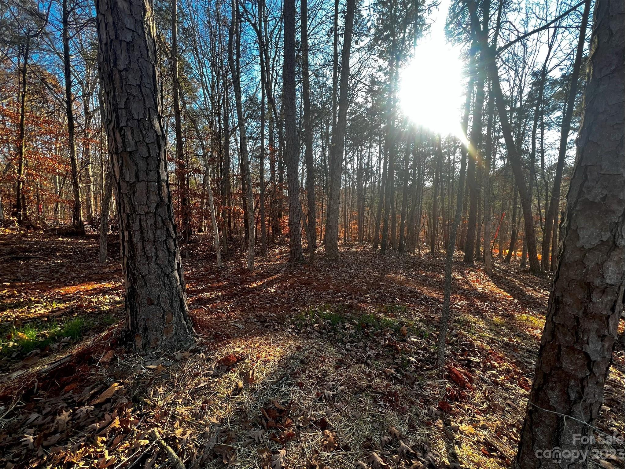 157 Copper Pine Lane Davidson NC 28036