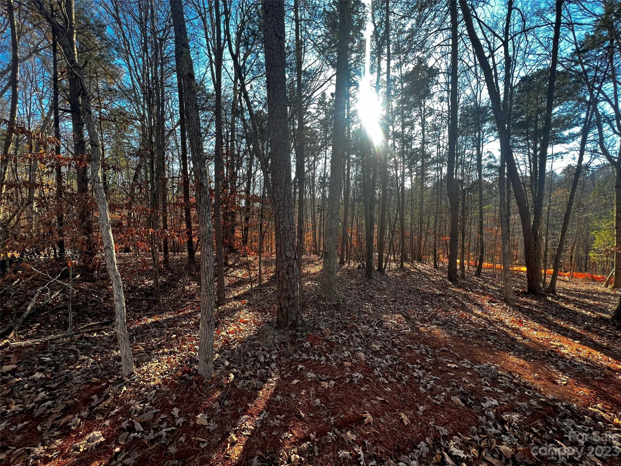 157 Copper Pine Lane Davidson NC 28036