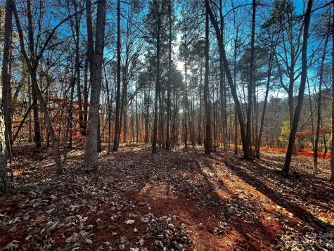 157 Copper Pine Lane Davidson NC 28036