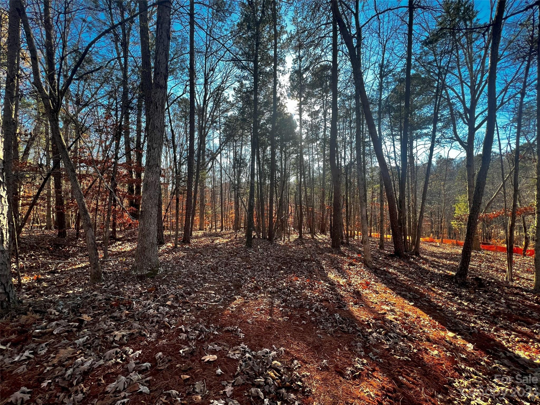 157 Copper Pine Lane Davidson NC 28036