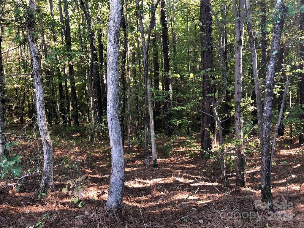 Lot 3 Rutan Court Mooresville NC 28117