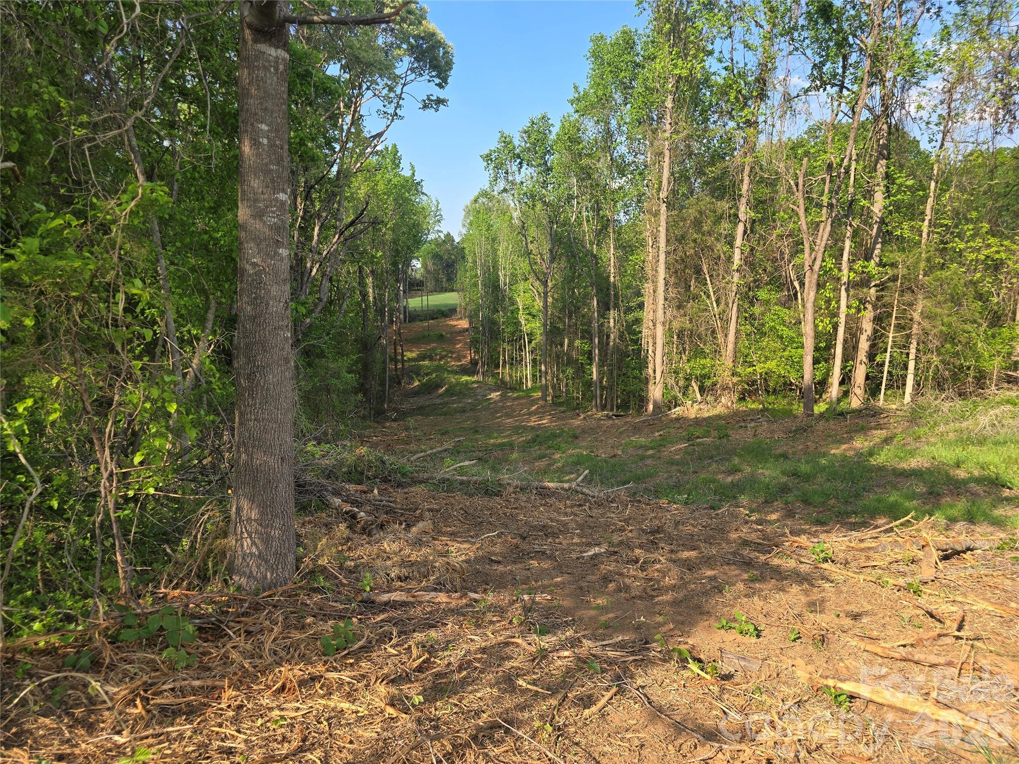 0 Nc 801 Highway Mt Ulla NC 28125