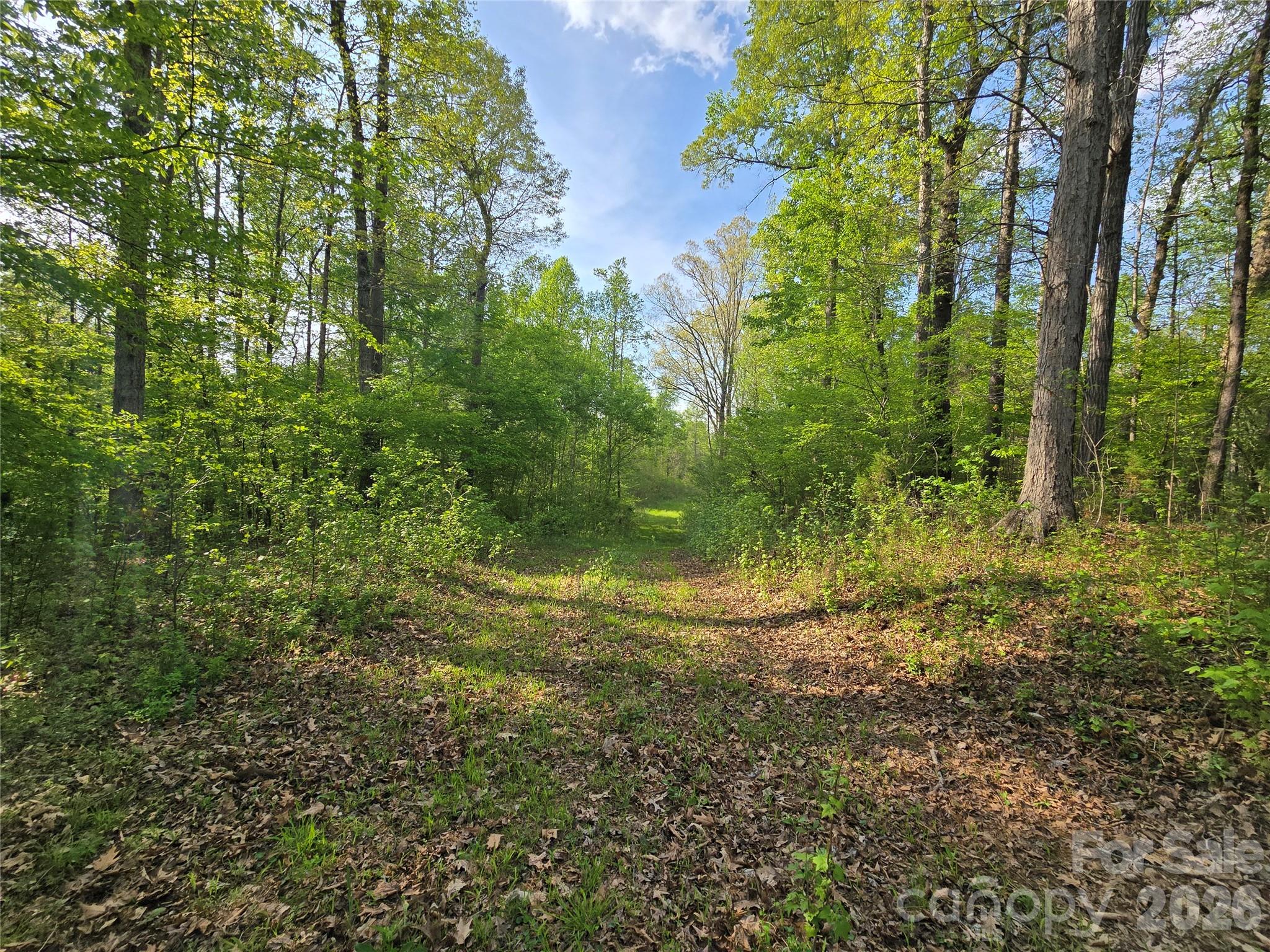 0 Nc 801 Highway Mt Ulla NC 28125