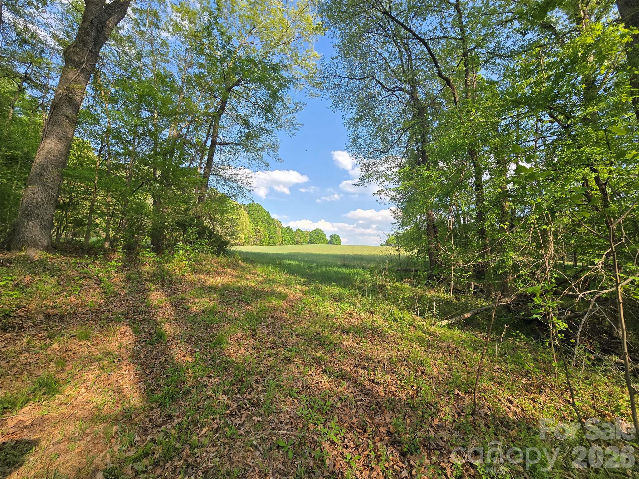 0 Nc 801 Highway Mt Ulla NC 28125