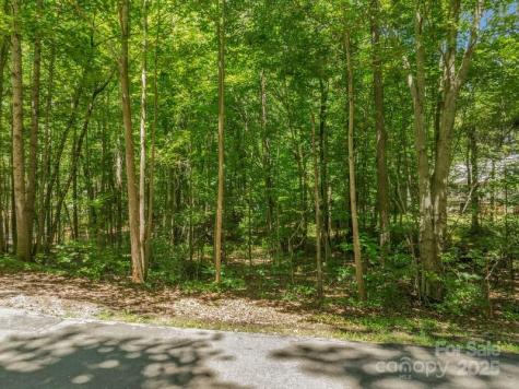 0 Nablus Drive Waxhaw NC 28173