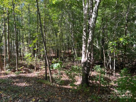 0 Nablus Drive Waxhaw NC 28173