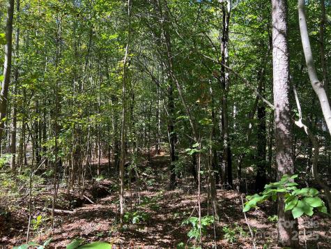 0 Nablus Drive Waxhaw NC 28173