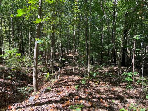 0 Nablus Drive Waxhaw NC 28173