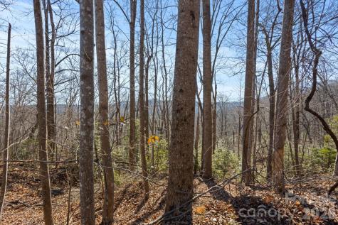 0 Dogwood Drive Lake Lure NC 28746