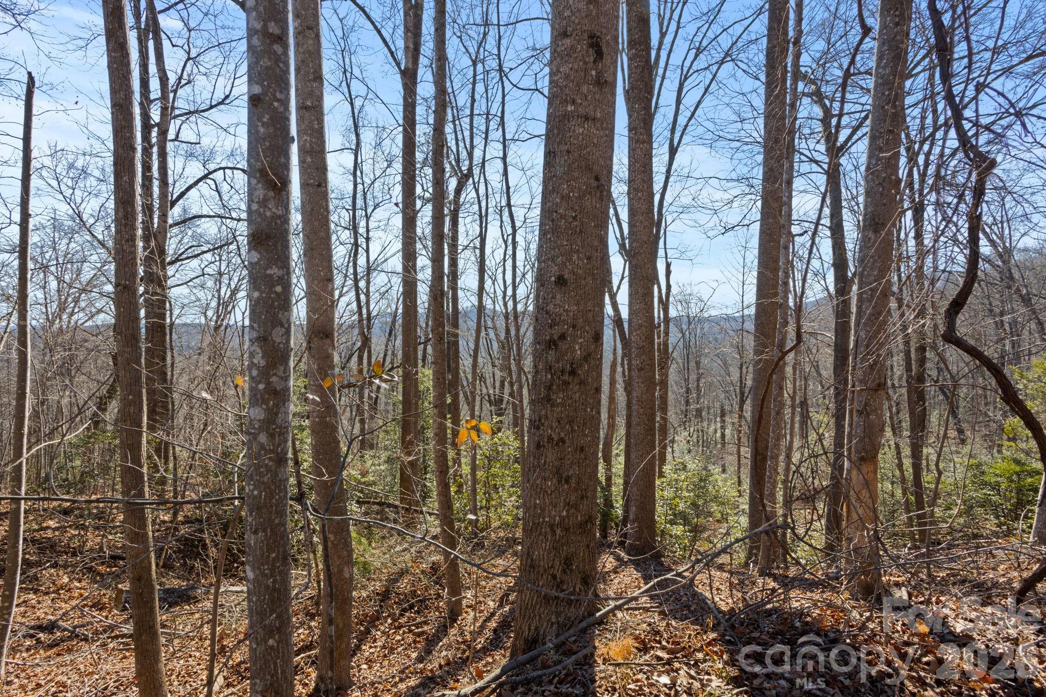 0 Dogwood Drive Lake Lure NC 28746