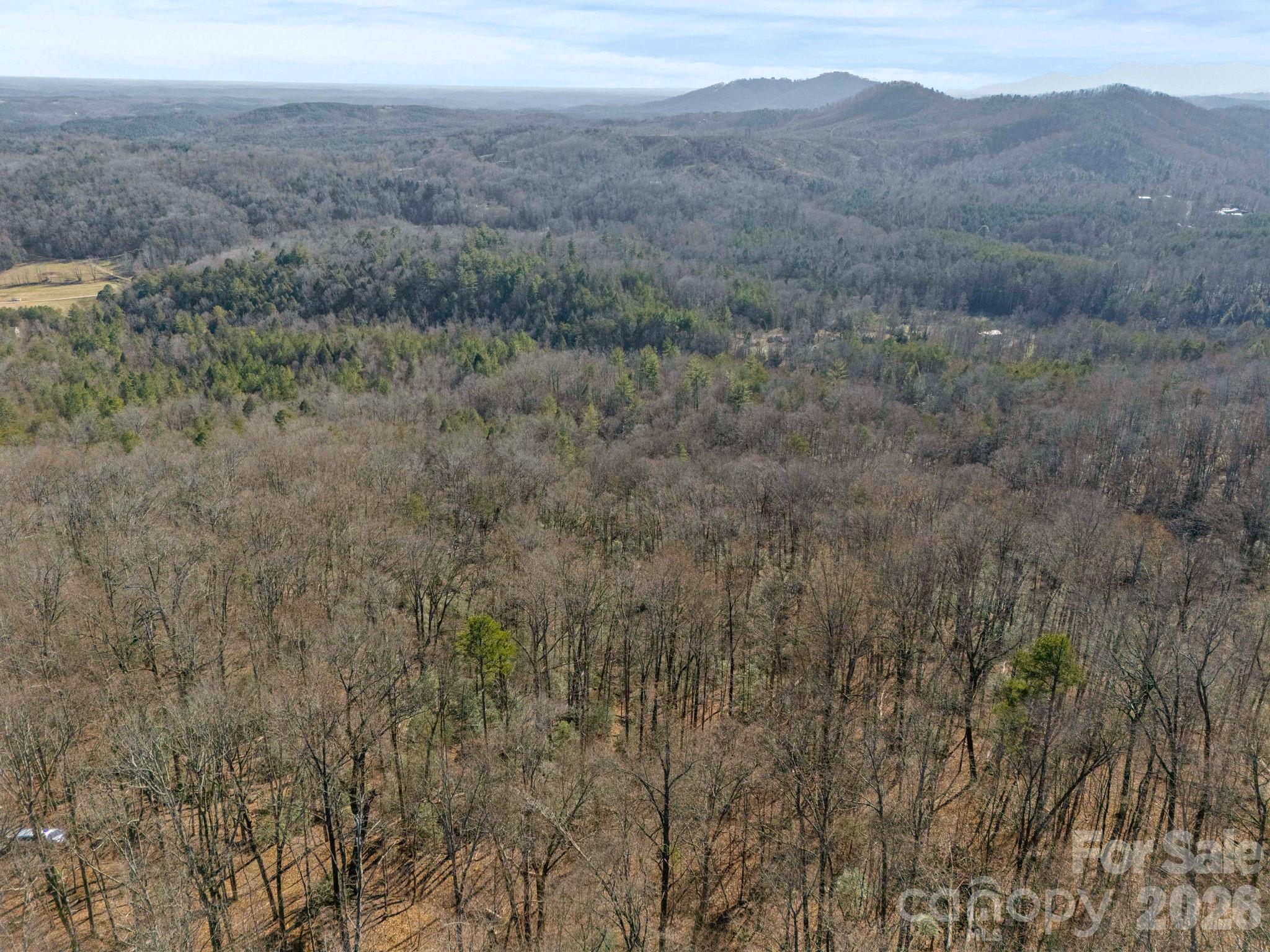 0 Dogwood Drive Lake Lure NC 28746