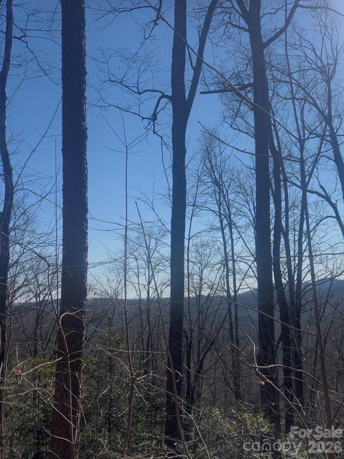 0 Dogwood Drive Lake Lure NC 28746