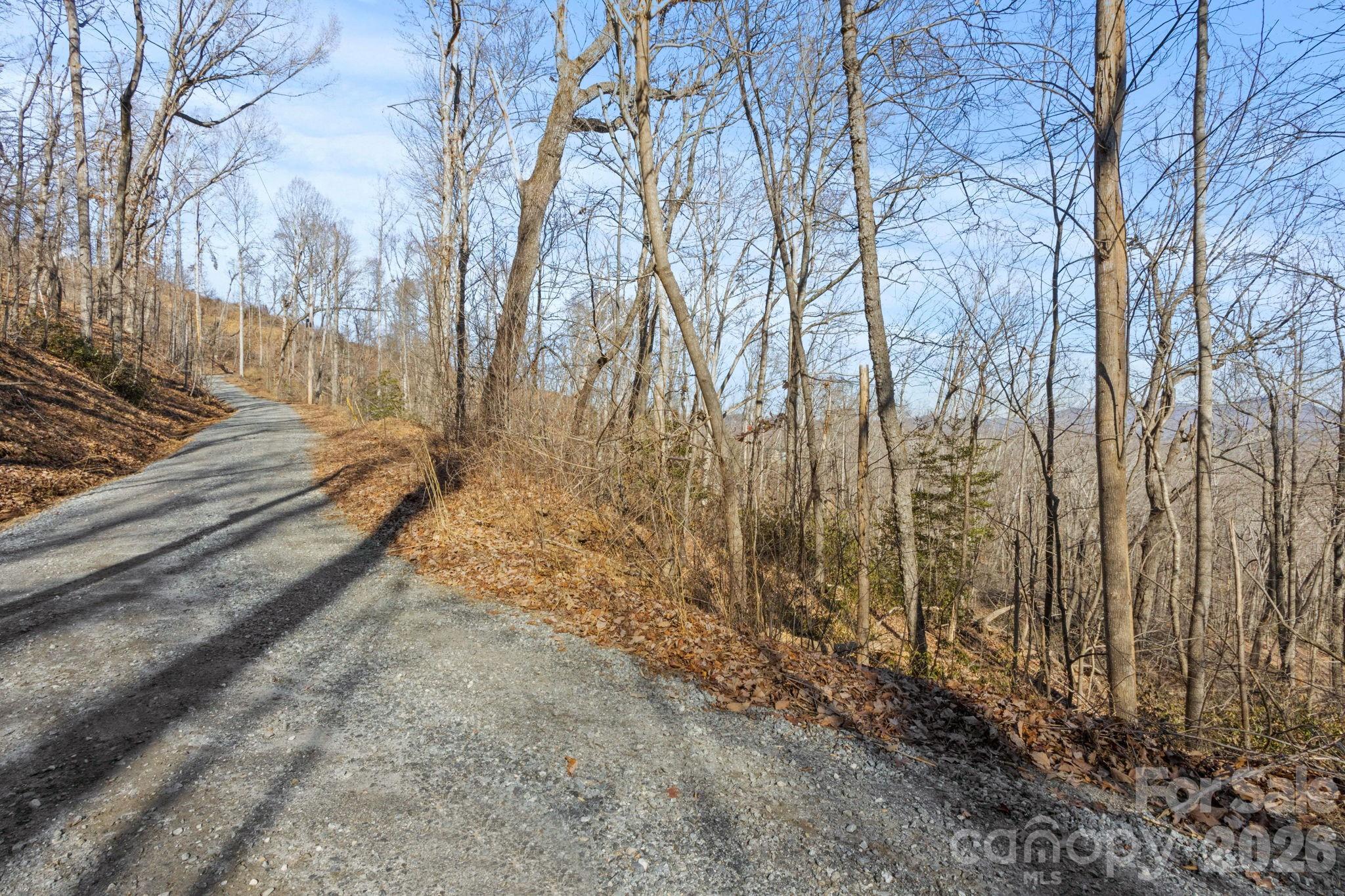0 Dogwood Drive Lake Lure NC 28746