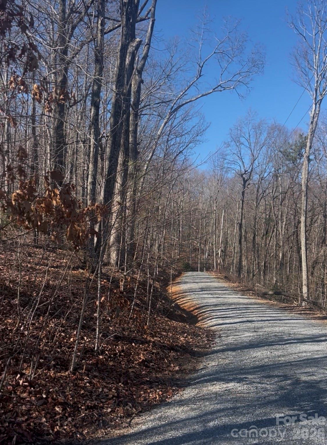0 Dogwood Drive Lake Lure NC 28746
