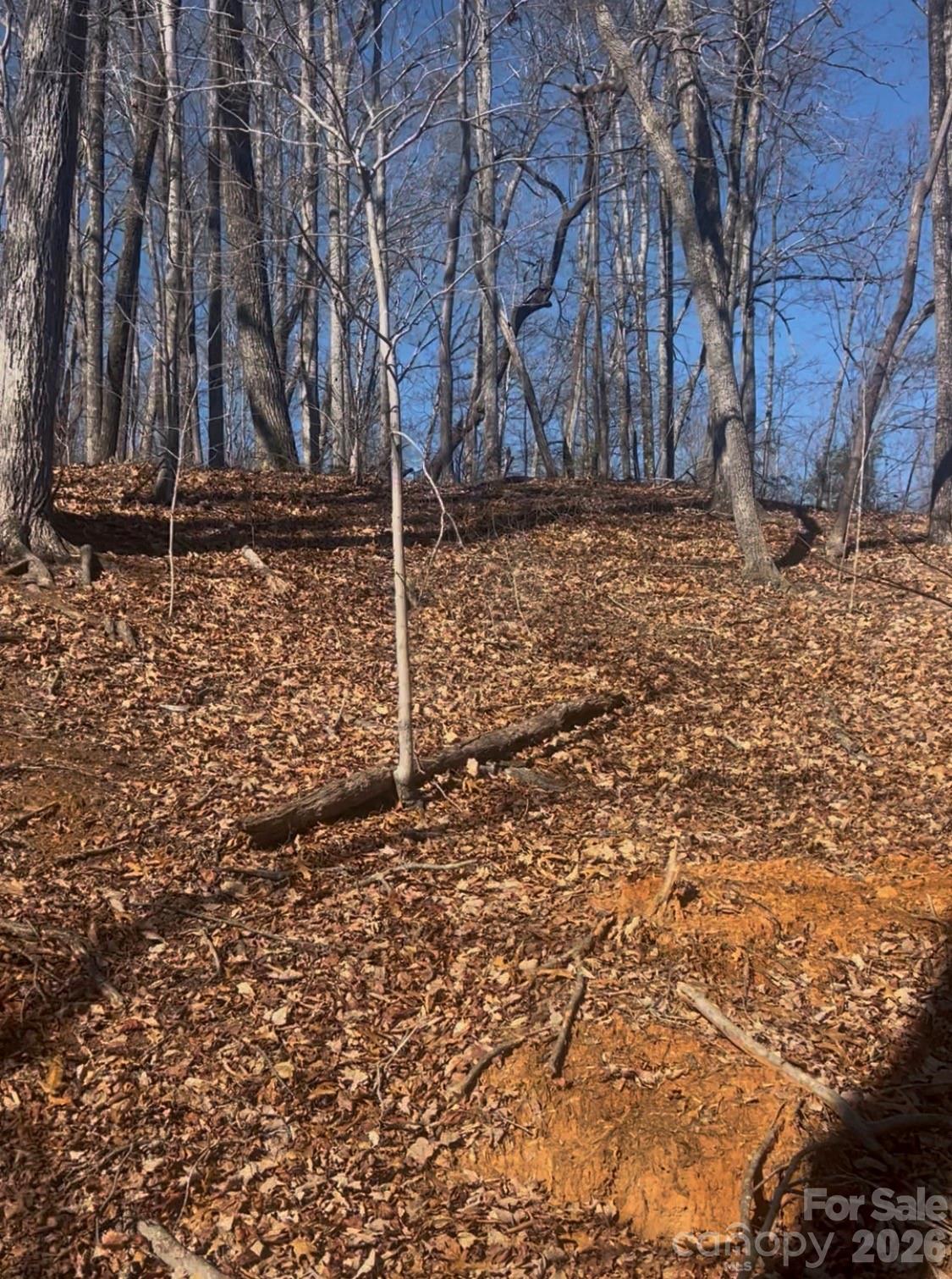 0 Dogwood Drive Lake Lure NC 28746