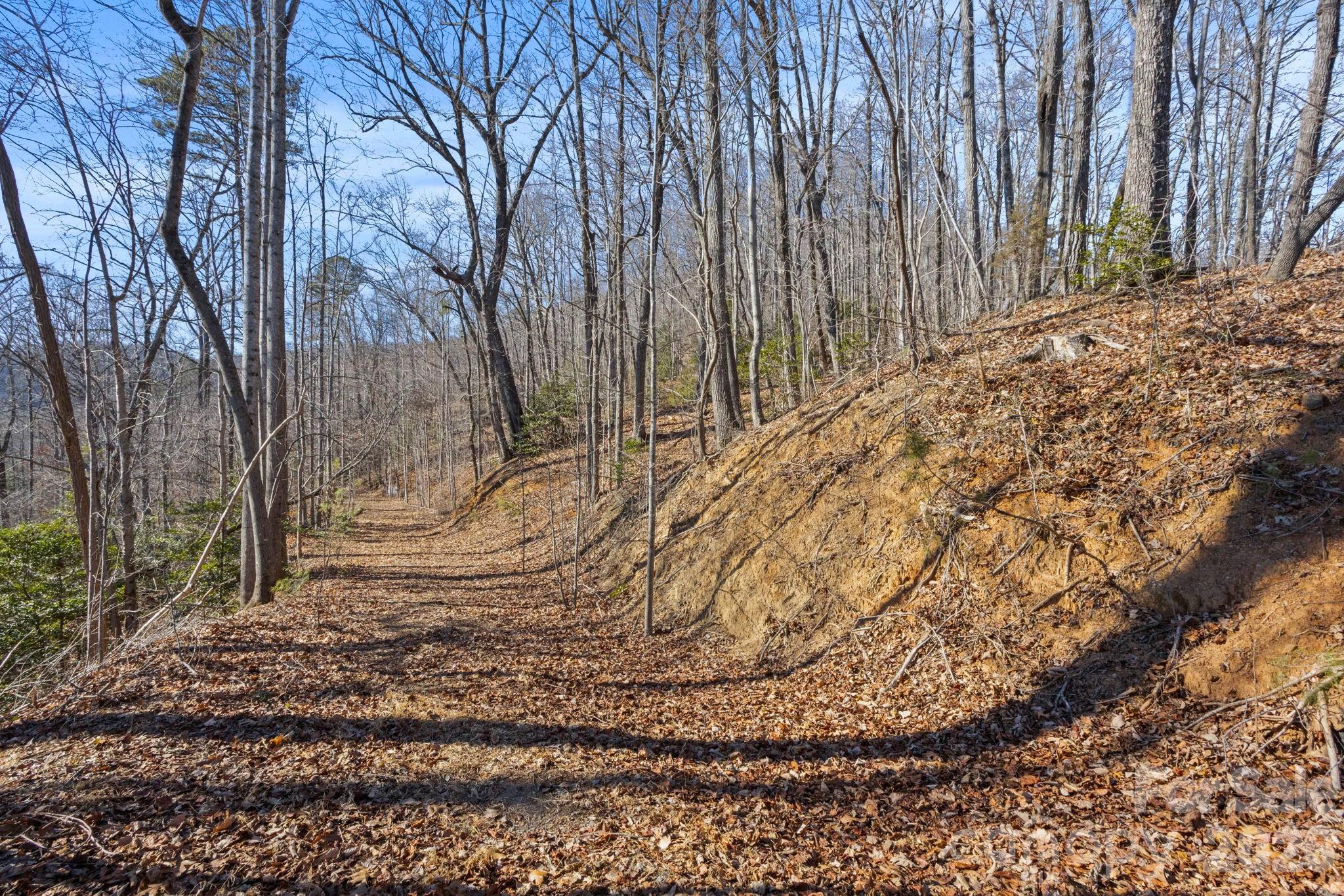 0 Dogwood Drive Lake Lure NC 28746