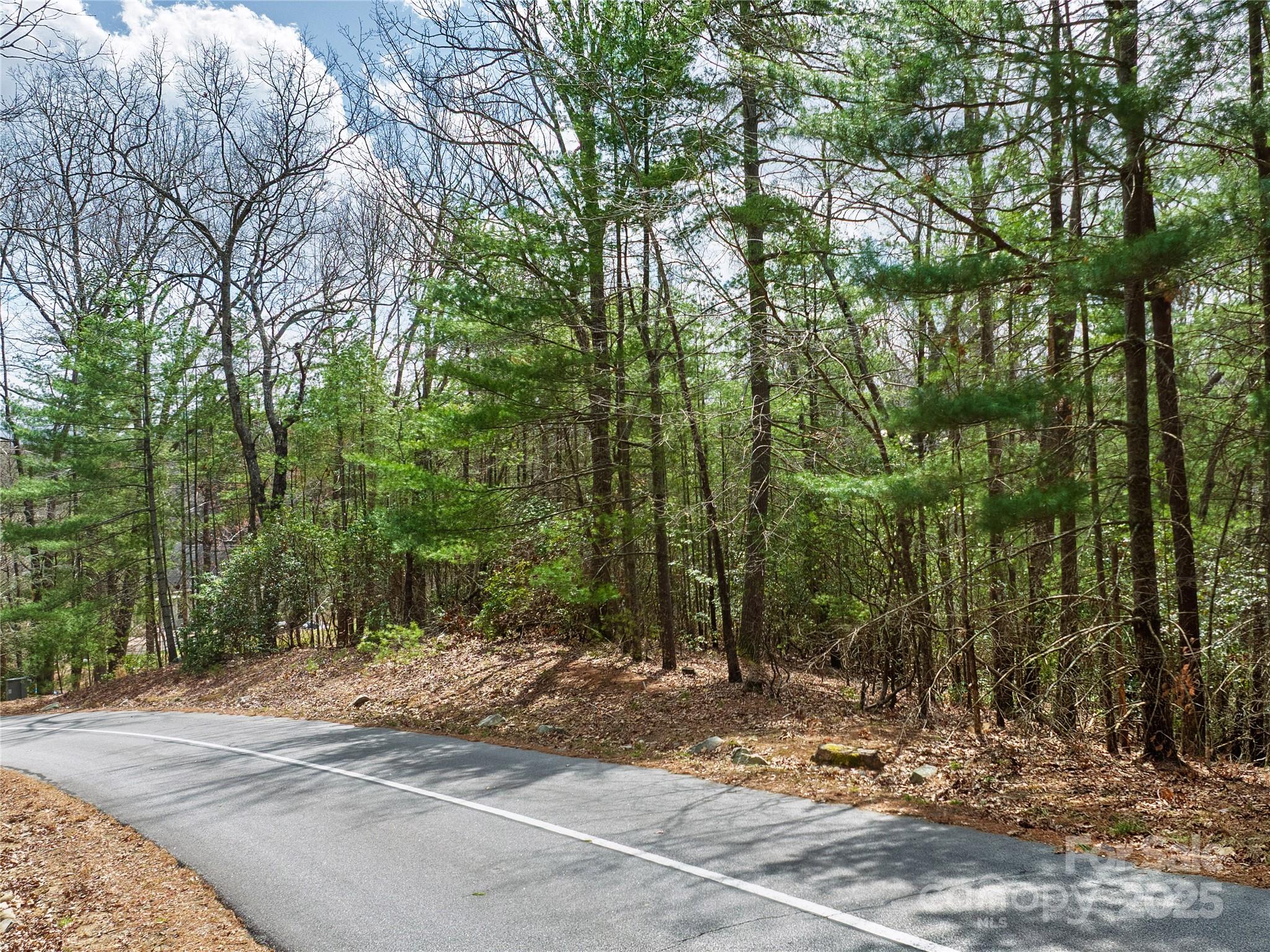 Lot 71 South Ridge Drive Hendersonville NC 28739