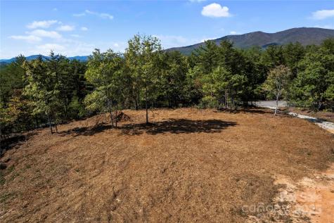 9028 Shortoff View Terrace Nebo NC 28761