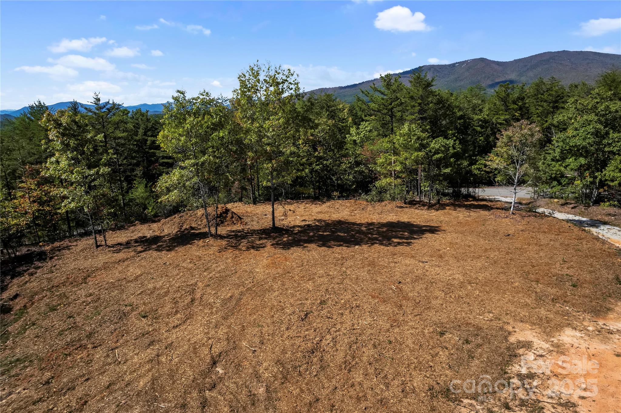 9028 Shortoff View Terrace Nebo NC 28761